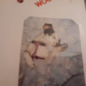 Meet your Posher, Mellissa